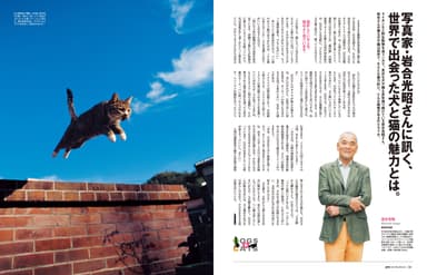 動物写真家・岩合光昭さんにインタビュー