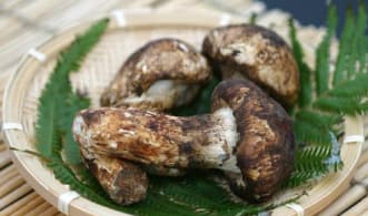 「夏・遊び納め５ｄａｙｓ！」宝ものイメージ