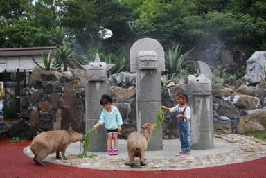 カピバラ虹の広場