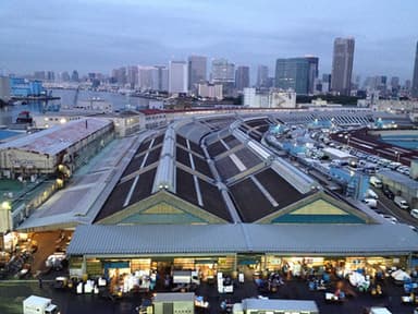 『Tsukiji Wonderland(仮題)』(1)
