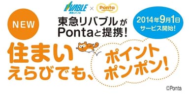 サービス開始