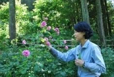 ローズウオーク・フラワーガイドイメージ