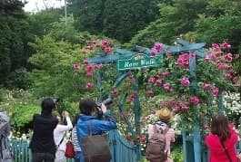 春開催時の写真教室の様子