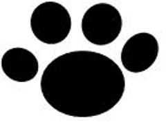 株式会社ねこぱんち