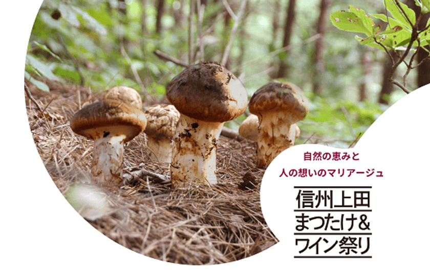 唯一無二のガストロノミーフェス
「信州上田まつたけ＆ワイン祭り2025」と
松茸料理のフルコース＆ペアリングを楽しめるプレミアムなイベント
「第2回ONSEN・ガストロノミーウォーキングin信州上田」を
10/5(日)に開催！