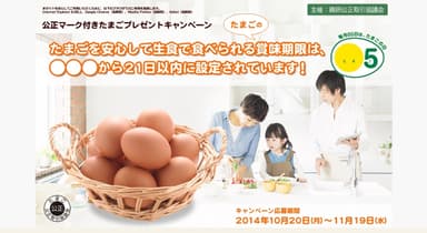 キャンペーン