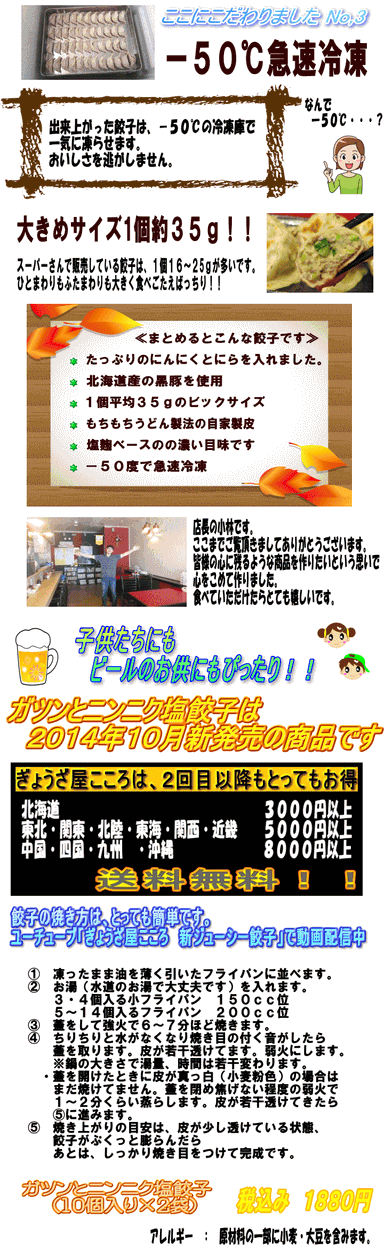 ガツンとニンニク塩餃子 2