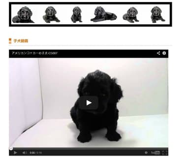 PUPPIES(1)