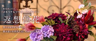 メインイメージ