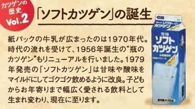 パッケージ側面表示「カツゲンの歴史」