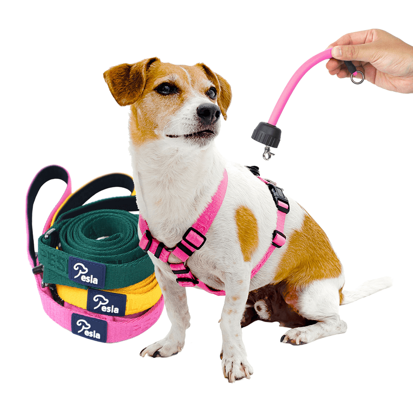 小型犬・中型犬向け「PeslaノンタングルH型ハーネス3点セット」
　Amazonにて9月限定特別価格キャンペーンを実施！