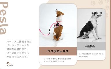 イメージ5
