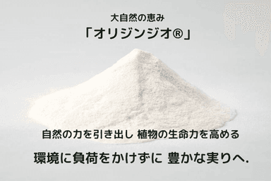 オリジンジオ(R)