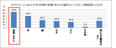 グラフ1