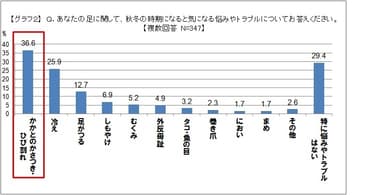 グラフ2