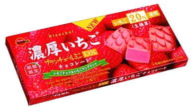 ブランチュールミニDX濃厚いちごチョコレート