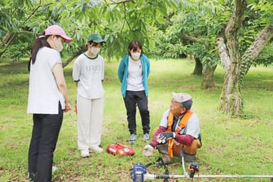 くりくり園社内研修 草刈り体験