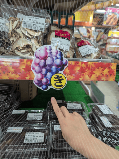小さい秋見ぃ～つけた！