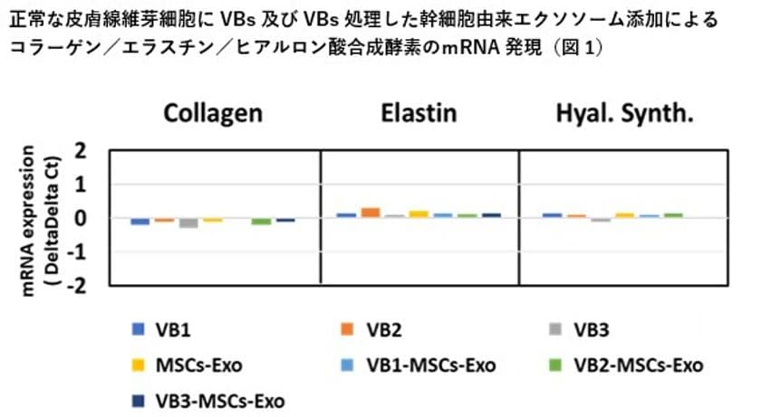 抗ウイルス・抗菌の『VB』＆幹細胞由来エクソソームの新境地　
VBの主成分による皮膚に対する抗老化作用とそのメカニズムを解明