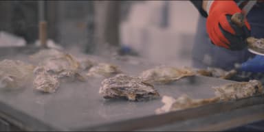 会場の様子(2)