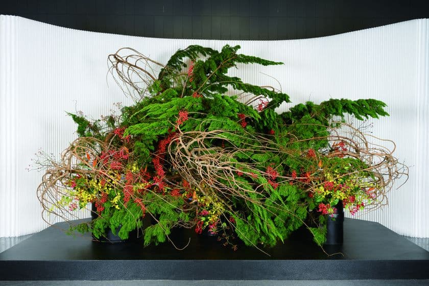 「いけばな龍生展　植物の貌2025」
2025年11月21日(金)～24日(月・振休) 渋谷にて開催