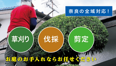 お庭の大将(奈良)