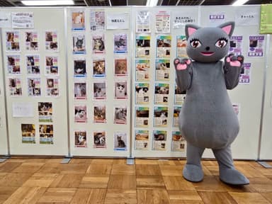 保護猫写真展