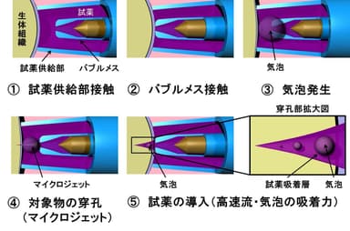 参考：細胞の加工・試薬の導入プロセス
