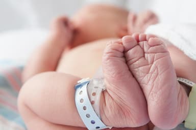 北欧の状況から考える日本の少子化対策