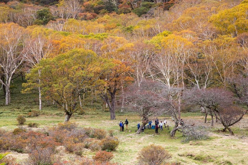 群馬県赤城山 紅葉の時期に「普段は入れない！
赤城白樺牧場 秘密の絶景ツアー 2025Autumn」開催