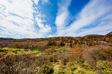 赤城白樺牧場秘密の絶景ツアー(2)