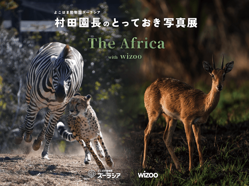 よこはま動物園ズーラシアと動物園水族館探求メディアwizooが
コラボレーションし、共同写真展を開催！