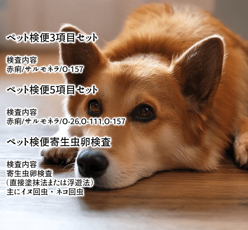 自宅で簡単にペットの健康チェック「ペット検便」開始　
人とペットの共生時代に、感染症リスク対策をサポート