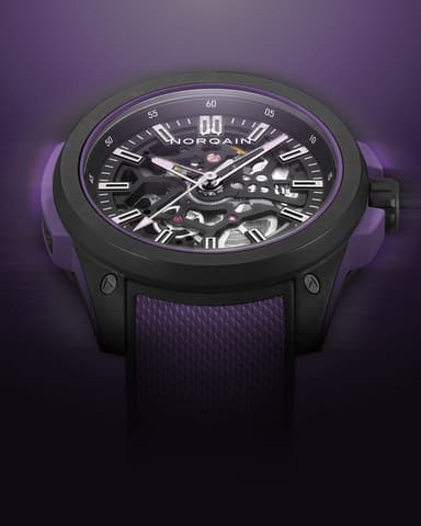 Wild ONE Skeleton 42mm Purple-1