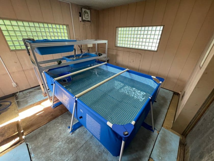 廃止した水道施設を活用した
陸上養殖の実証事業を開始します！