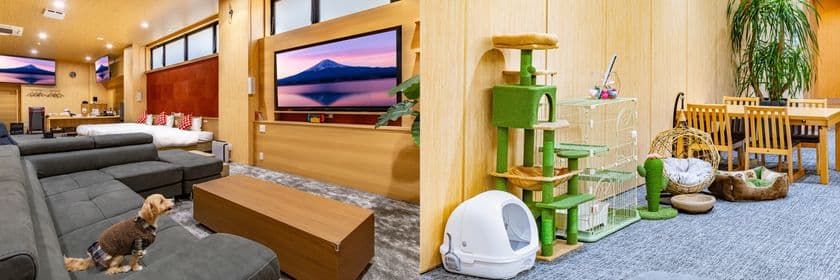 長崎県島原温泉ホテル南風楼が
体重制限なし・頭数制限なし・一棟貸切の
ワンちゃんとネコちゃんと泊まれる新施設を
2025年9月にオープン！