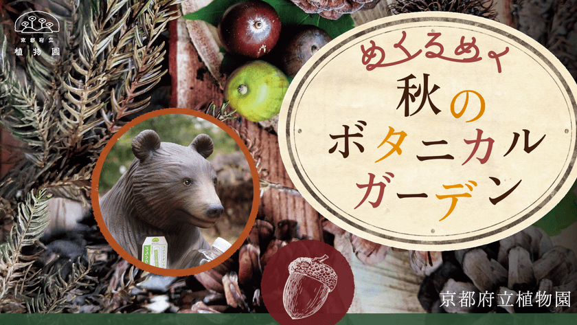 きのこ展や紅葉ライトアップなど、植物園の多種多彩な秋を楽しむ
『めくるめく秋のボタニカルガーデン』を開催　
10月25日(土)～12月7日(日)