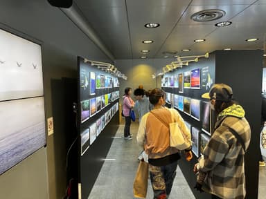 第7回撮影ポイントランキング年間グランプリ展
