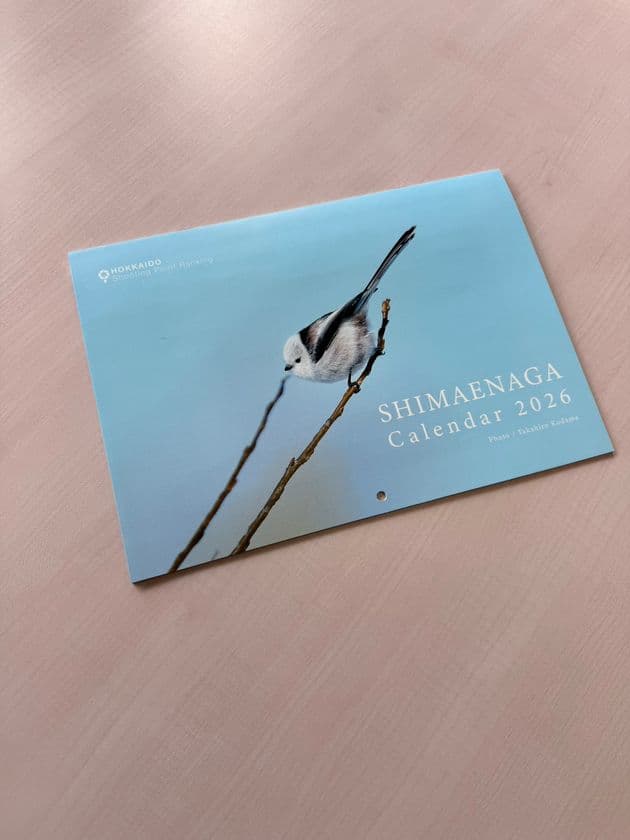 [500冊限定] 北海道で撮影した「シマエナガカレンダー2026」を
10月10日販売開始！13枚のかわいいシマエナガが勢ぞろい