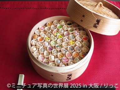 ミニチュア写真の世界展　展示作品：りっこ(2)