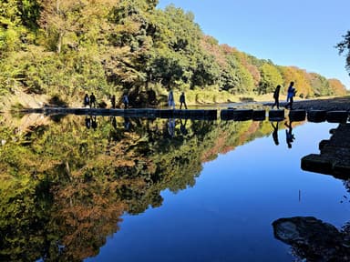 水面に映る嵐山渓谷