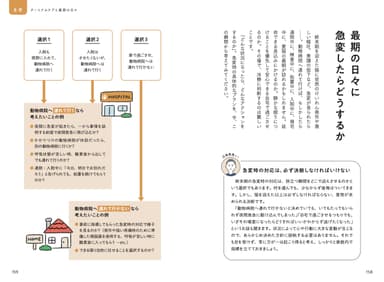 中身4