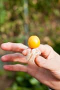 「よりおいしい物」を選択するように心がけています。