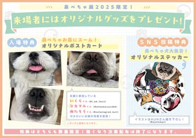 「ぺちゃ犬になれる」10周年記念ポストカードプレゼント