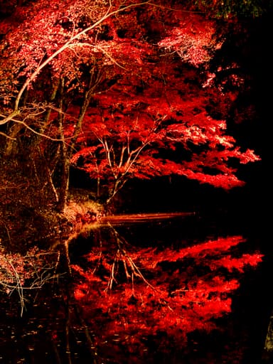 松平東照宮(お堀)