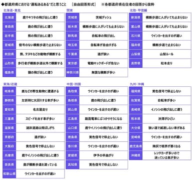 都道府県における”運転あるある”だと思うこと1