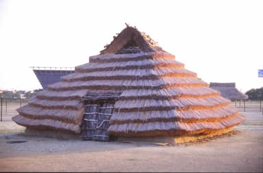 史跡池上曽根遺跡／方形竪穴住居(イメージ)