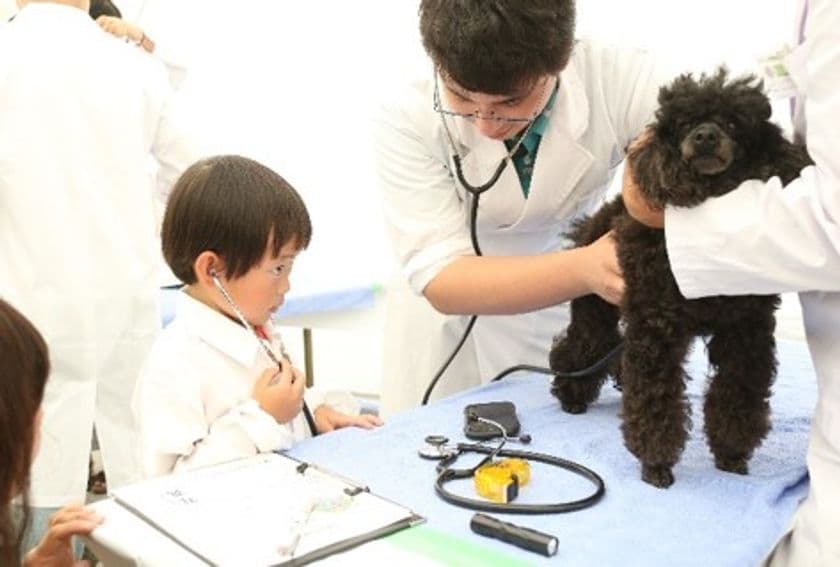 獣医師の仕事について知る！動物とふれあう！動物同伴OKイベント
「2025動物感謝デー in JAPAN “World Veterinary Day”」
2025年11月15日(土)開催