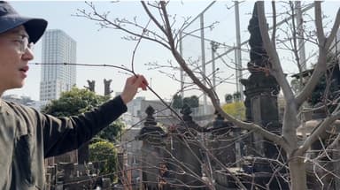 ガーデンデザイナーが手を掛ける「樹木葬」