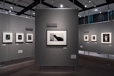 「フジフイルム・フォトコレクションII」を東京・大阪で展示し、約3万8&#44;000人が来場した